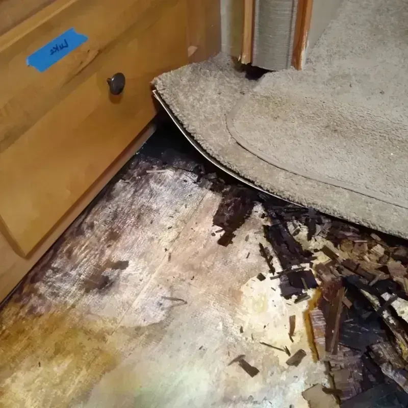 Wood Floor Water Damage in Plentywood, MT